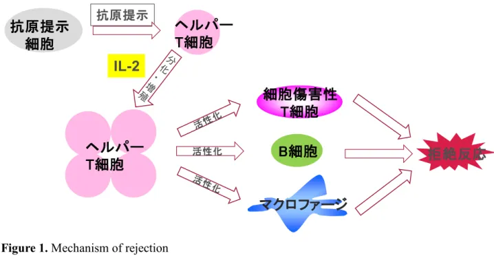 Figure 1. Mechanism of rejection 