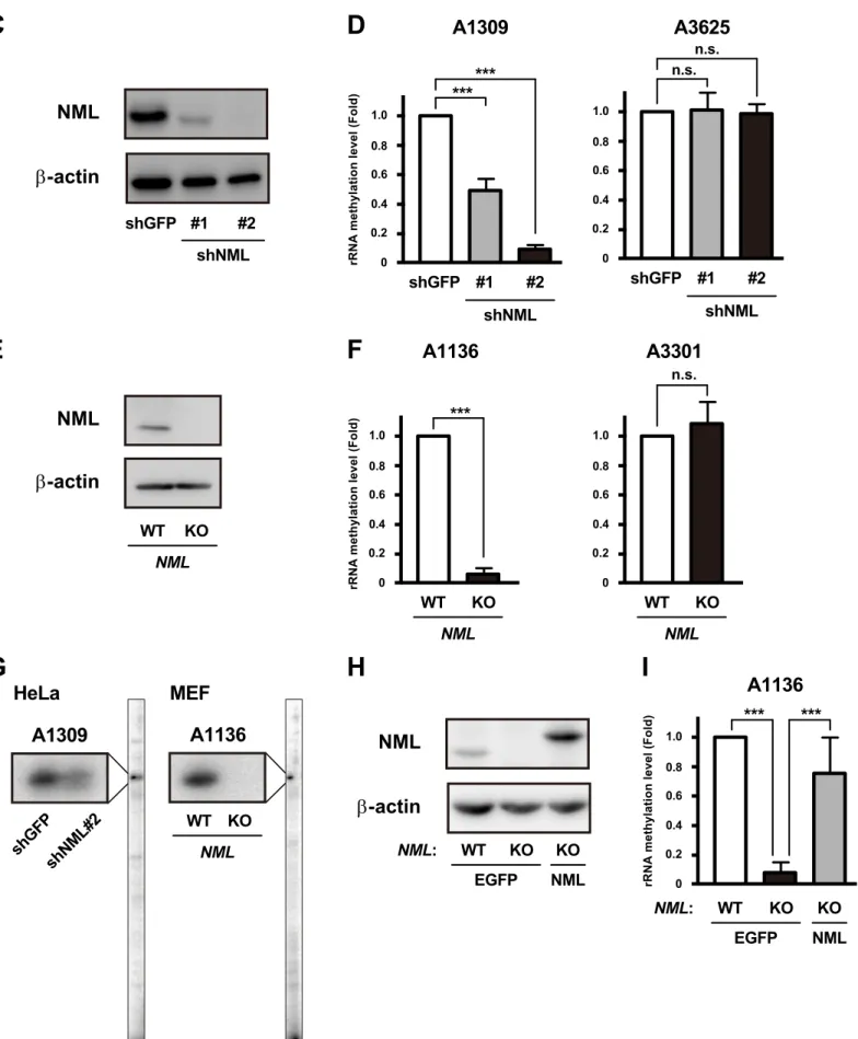 Fig. II-2 (continued)