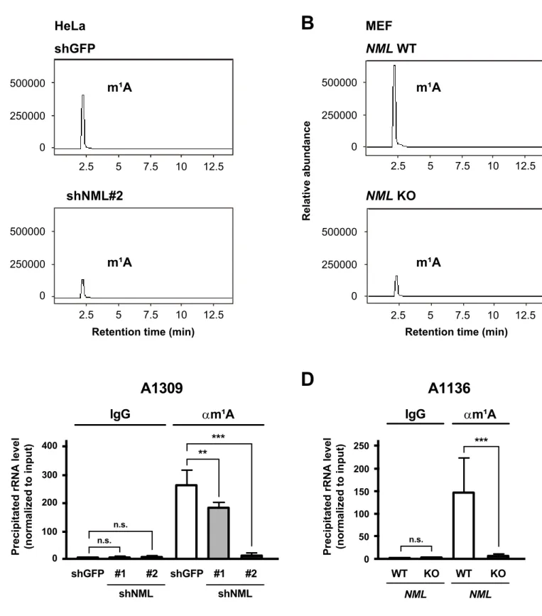 Fig. II-4