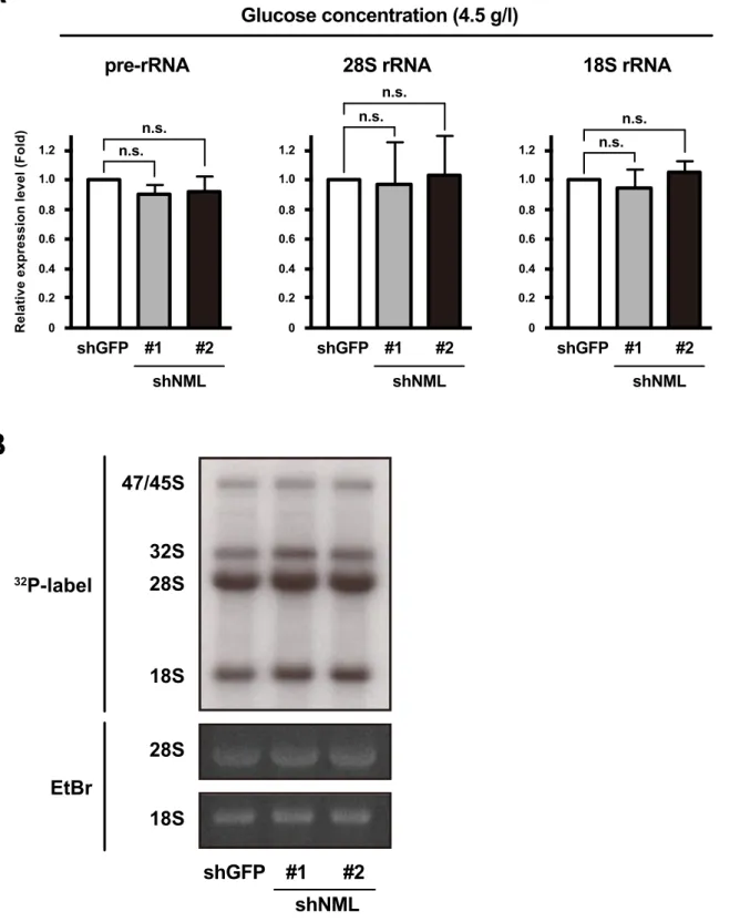 Fig. II-5 A