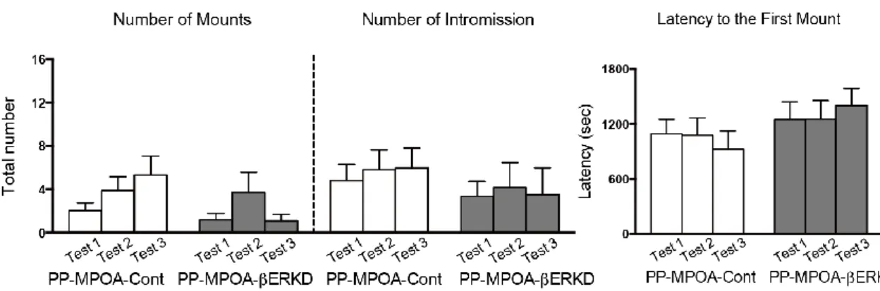 Figure 8. Effect of pre-pubertal βERKD in the MPOA on sexual behavior in adulthood. 