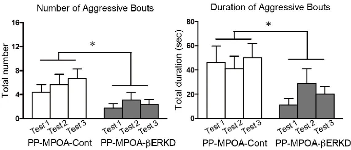 Figure  9.  Effect  of  pre-pubertal  βERKD  in  the  MPOA  on  aggressive  behavior  in  adulthood