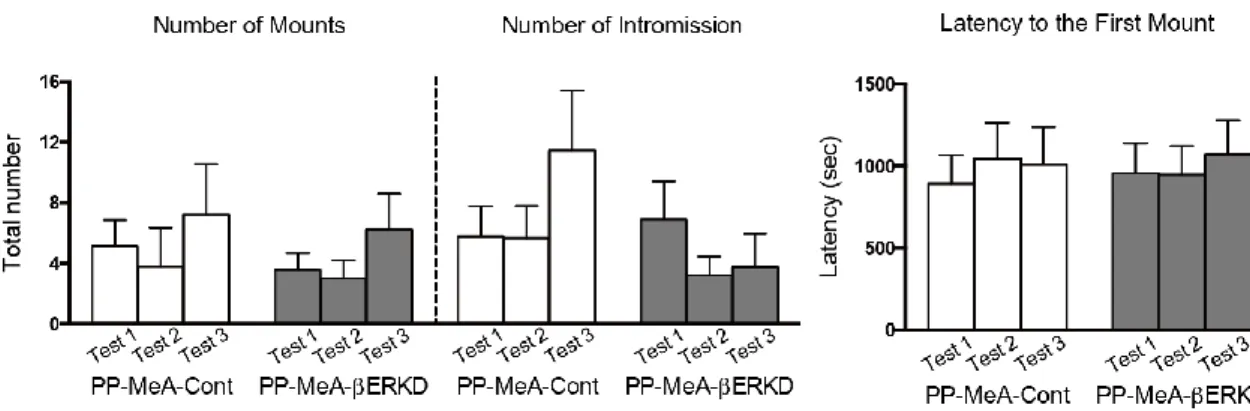 Figure 10. Effect of pre-pubertal βERKD in the MeA on sexual behavior in adulthood. 