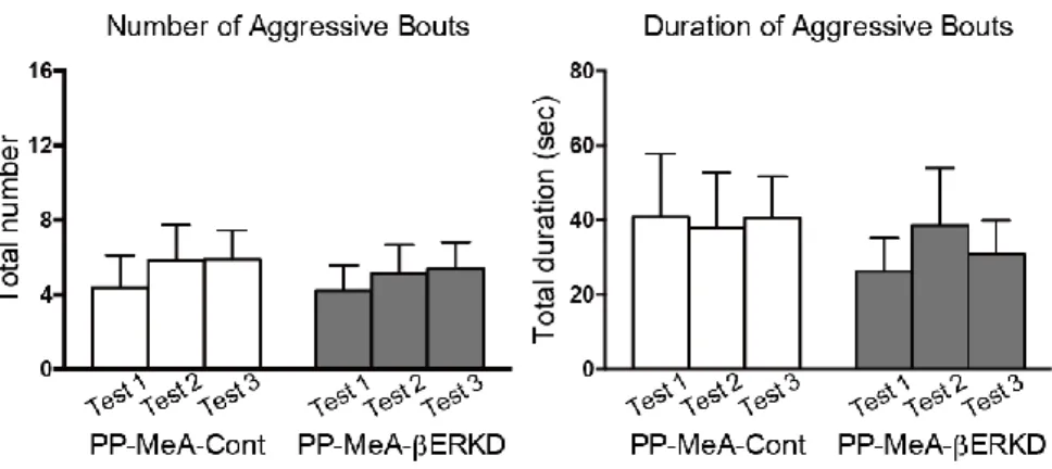 Figure  11.  Effect  of  pre-pubertal  βERKD  in  the  MeA  on  male  aggressive  behavior  in  adulthood