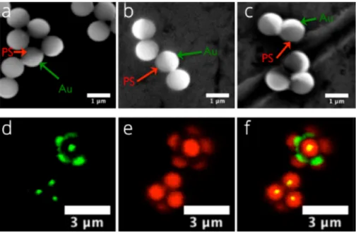 Figure 10 shows the scanning electron microscope and fluorescence microscope images of gold-polystyrene patchy particles and their clusters irreversibly aggregated by the vdW attraction between gold patches [31]