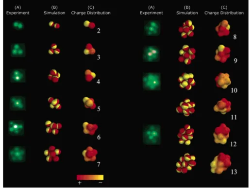 Figure 11. Clusters formed by charge dipolar particles in PBS buﬀer (pH: 6) with 1 mM ionic strength