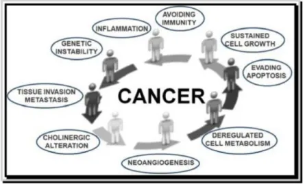 Figure 1. Hallmarks of cancer. 