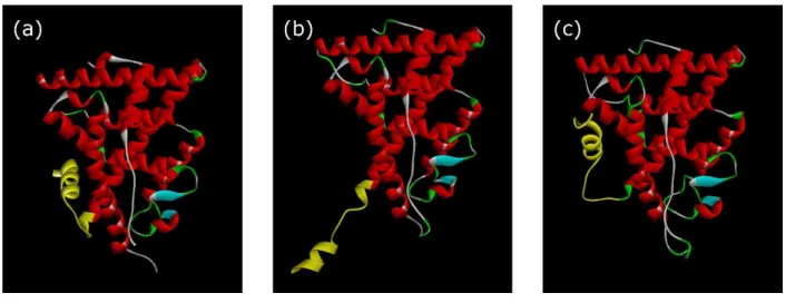 Figure  1.  Different  spatial  positioning  of  H12  on  ERα-LBDs  determined  by  X-ray  crystallography