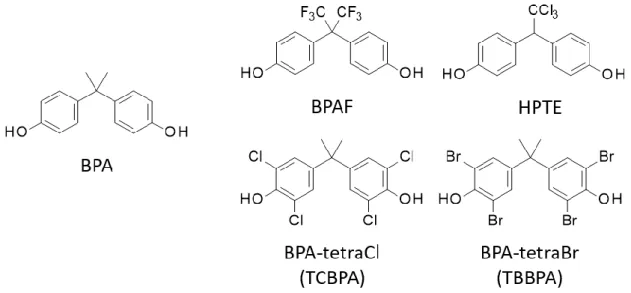 Figure 1. Chemical structures of representative  next-generation BPAs . 