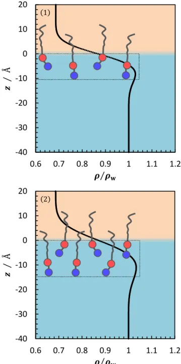 Figure  2-8.  The  electron  density  profiles  normal  to  the  interface  in  the  pure  C14PC  system (1) at  