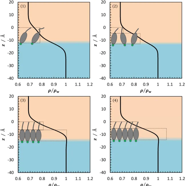 Figure  2-10.  The  electron  density  profiles  normal  to  the  interface  for  the  pure  Chol  system (1) at  