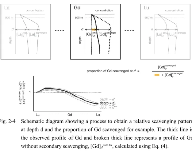 Fig. 2-4    Schematic diagram showing a process to obtain a relative scavenging pattern  at depth d and the proportion of Gd scavenged for example