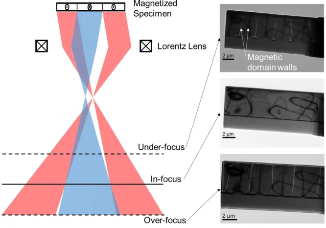 Figure 2-4. Lorentz TEM における Fresnel 法の原理. 