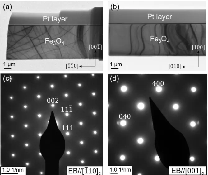 Figure 3-4. (a) Sample [1̅10] c の TEM 像. (b) Sample [001] c の TEM 像. (c) Sample [1̅10] c の SAEDP