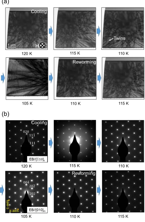 Figure 3-5. (a) Sample [1̅10] c の磁場冷却観察における各温度での BF-TEM 像. (b) Fig. 