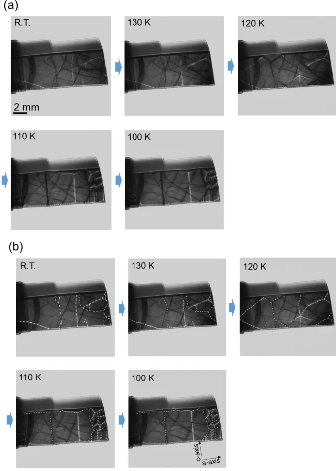 Figure 3-6 (a) Sample [1̅10] c のゼロ磁場冷却における各温度での Lorentz TEM 像. (b) Fig. 
