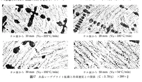 図 8 1 共品レーデブライト組織と炭素量との関係(チル面から 50mm) x200xt 