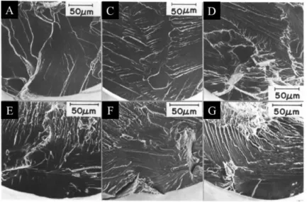 Fig. 1-14 Electron micrographs of the corresdponding fracture surfaces in hydrogenated high-purity iron  single crystals indicated in Fig
