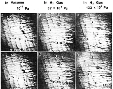 Fig. 1-25 Hydrogen-enhanced motion of screw dislocations in pure iron observed via in-situ  environmental TEM straining experiments (Tabata et al.) [62]