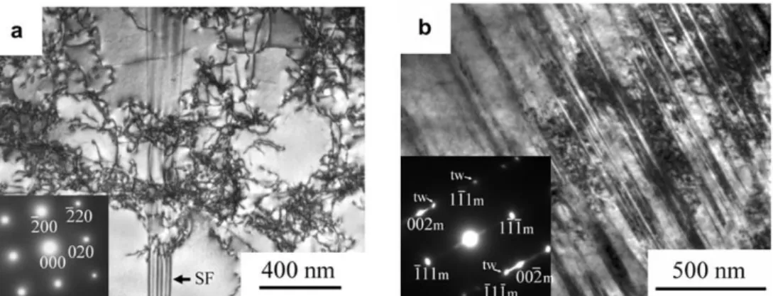 Fig. 1-44 TEM images of the microstructures in <001>-oriented Hadfield steel single crystals deformed at  300 K (a) without and (b) with hydrogen pre-charging