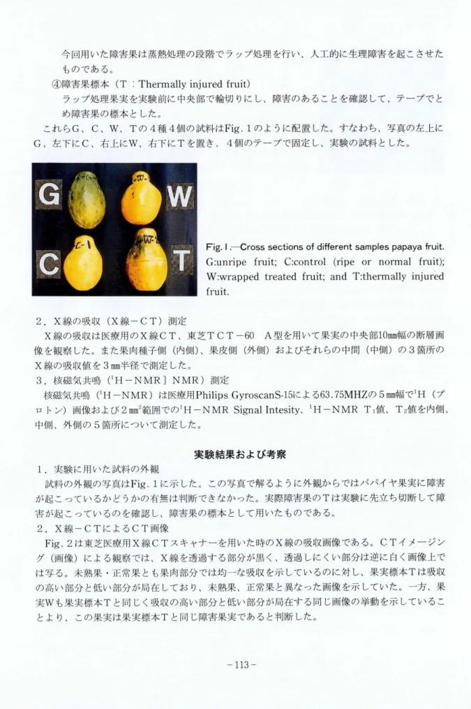 Fig.  I  .—Cross  sections  of  different  samples  papaya  fruit. 