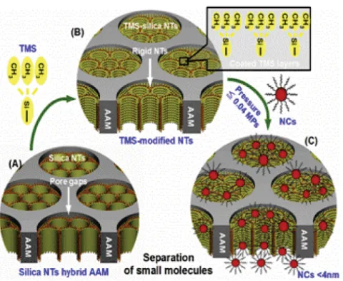 Figure 1.5: FE-SEM cross section (A) and HR-TEM (B, C, D) micrographs of nanofilters  after removing the AAM using 5% H 3 PO 4  for 600 min