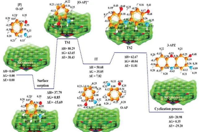 Figure 3.12: Theoretical models of the chemical transformation mechanism of o-AP onto  NiO platelet mosaics