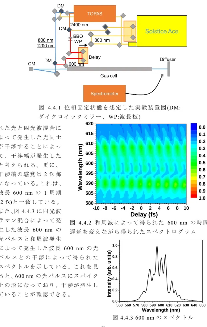 図 4.4.1  位 相 固 定 状 態 を 想 定 し た 実 験 装 置 図 (DM: 