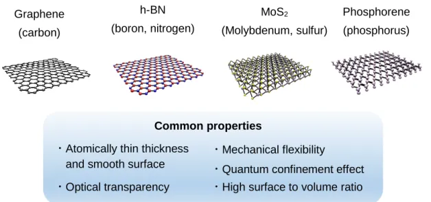 Figure  1-3  Atomic  structures  of  representative  2D  materials  and  the  common  properties of these 2D materials.