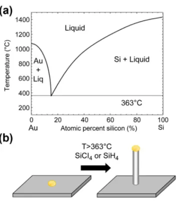 Figure 2.5 a; Binary phase diagram of Au-Si system, b; Schematic illustration of vapor-liquid- vapor-liquid-solid growth of a Si nanowire or whisker[120]