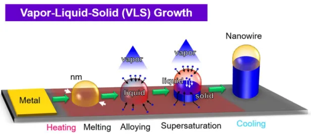 Figure 2.7 Schematic illustrations of the growth process for a vapor-liquid-solid process
