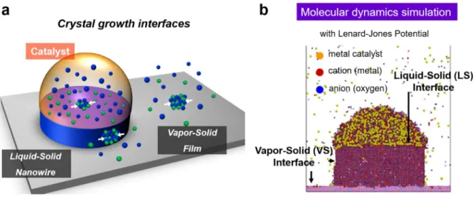 Figure 2.8 a; Schematics of VLS nanowire growth and vapor-solid (VS) film growth,  b; snap  shots of crystal growth of molecular dynamics (MD) simulations for VLS formation process, the  liquid-solid (LS) interface and VS interface are assigned[138]