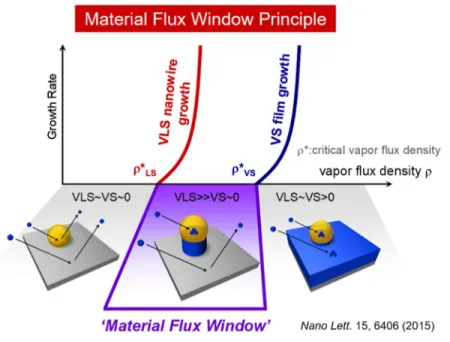 Figure 2.9 Schematic of the material flux window concept to design a metal oxide nanowire via  the VLS route[47]