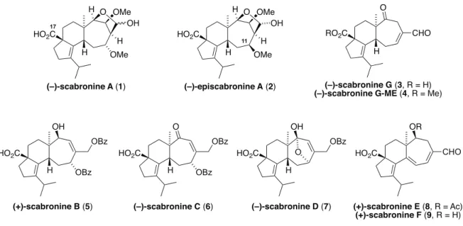 Figure 2-2. Structures of scabronines. 