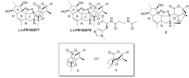 Figure 3-1. Structures of (–)-FR182877, (–)-FR182876, 1 and 2. 