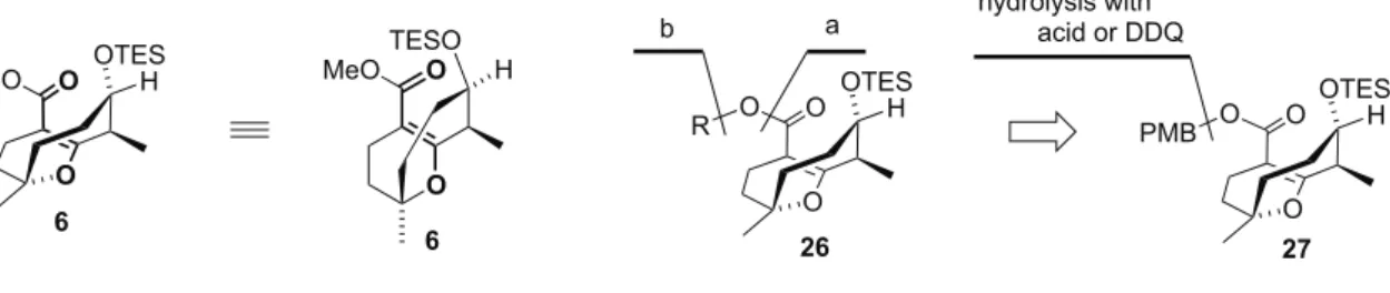 Figure 3-2. Synthetic strategy with PMB ester 27. 