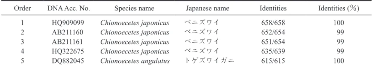 Table 1. 　 The results of blast analysis for sequences of Chionoecetes crab collected at the Sea of Japan ． A) COI (LC3779441)