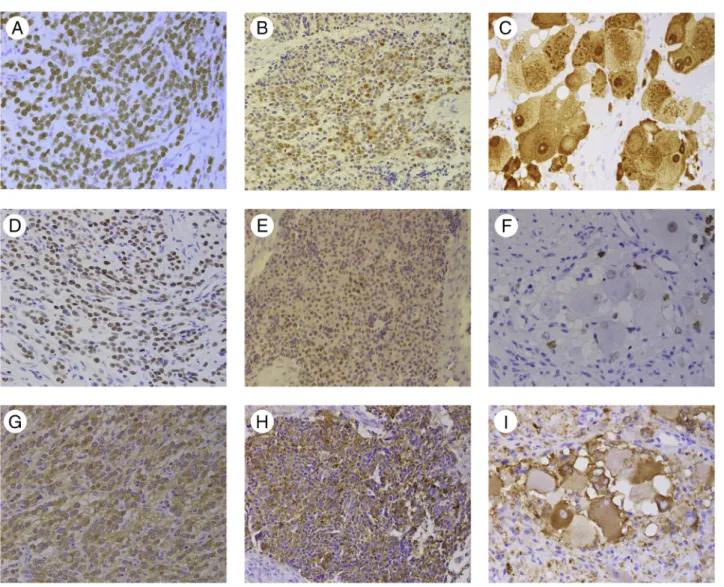 Table 3 Summary of HuC/D immunohistochemical total scoring