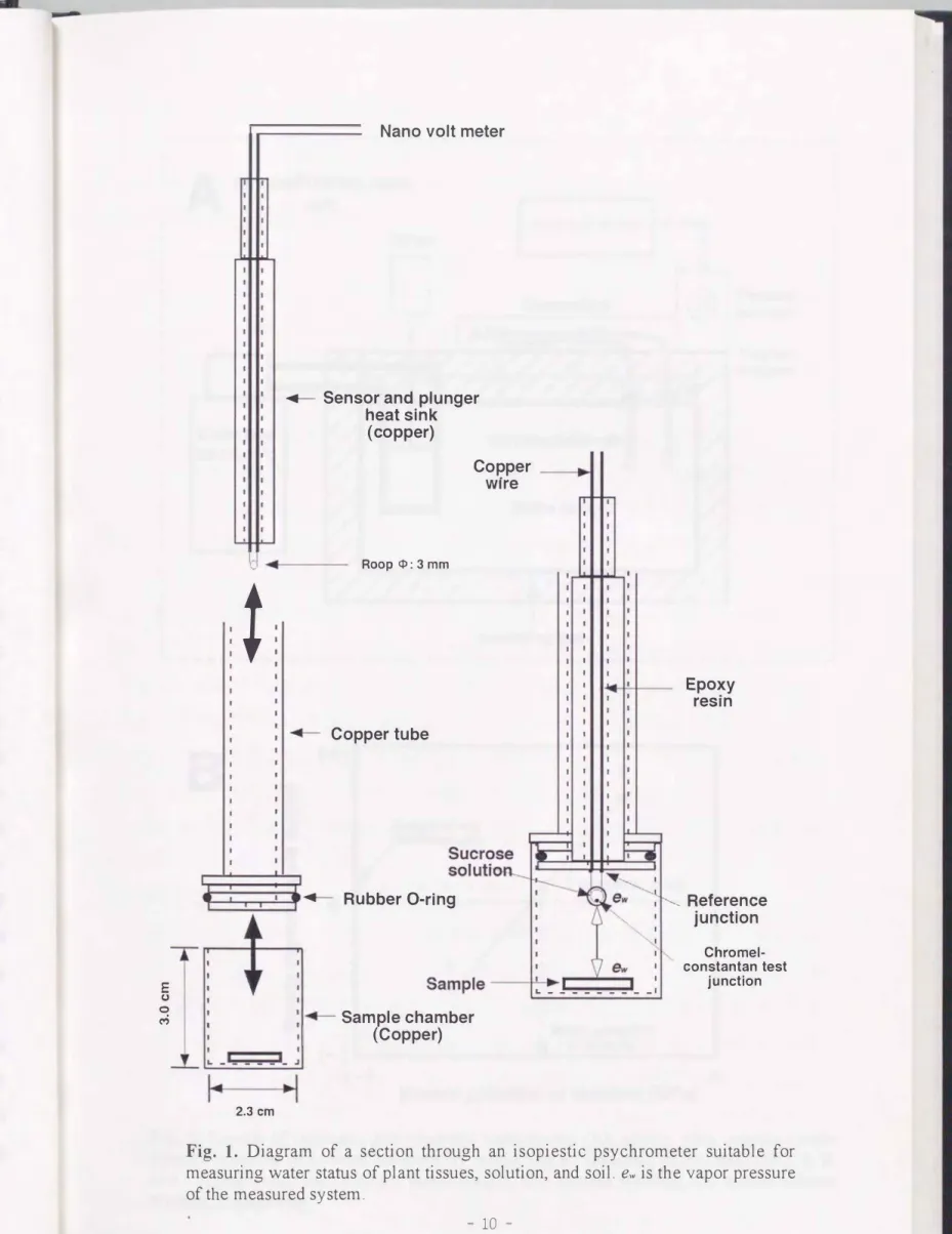 Fig.  1.  Diagram  of  a  section  through  an  isopiestic  psychrometer  suitable  for  measuring  water  staωs  of plant tissues，  solution，  and  soil