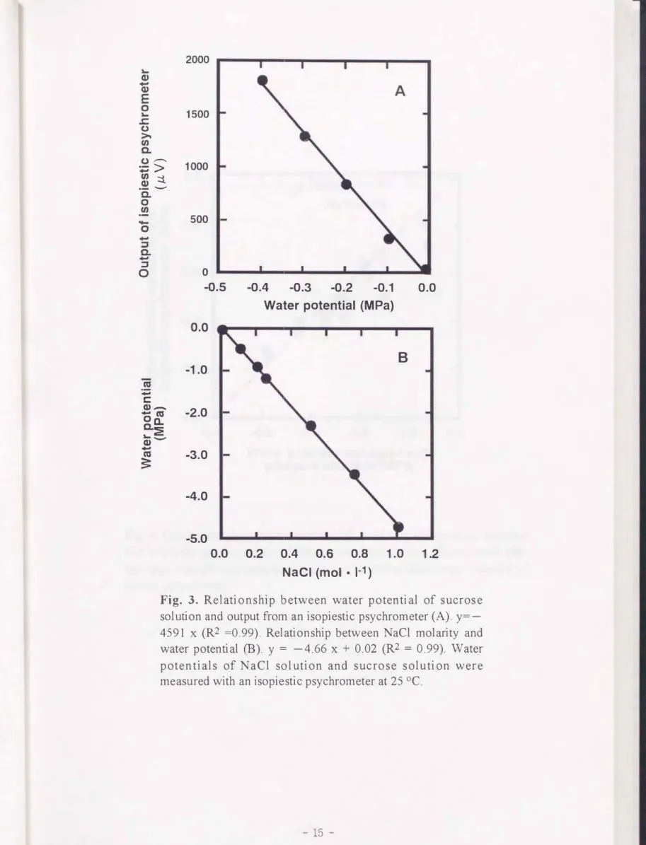 Fig.  3.  Relationship  between  water  potential  of  suc ros e   solution and  output  from an isopiestic  psychrometer  (A)