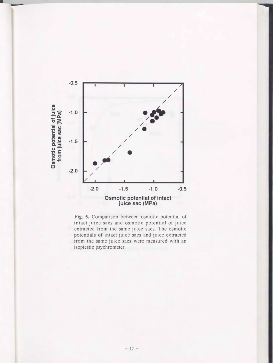 Fig.  5.  Comparison  between  osmotic  potential  of  intact juice  sacs  and  osmotic  potential  of  juice  extracted  from  the  same  juice  sacs