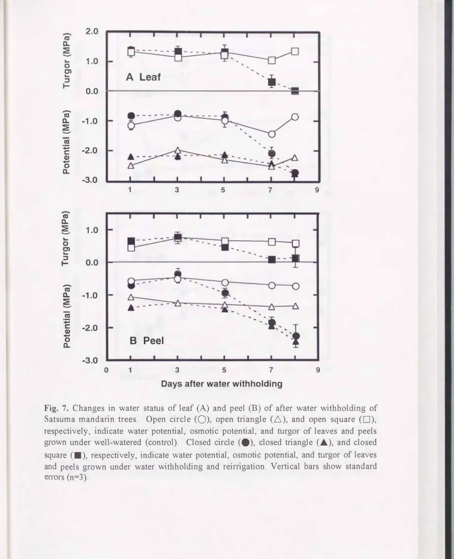 Fig.  7.  Changes  in  water  status  of  leaf  (A)  and  peel  (B)  of  after  water  withholding  of  Satsuma  mandarin  trees
