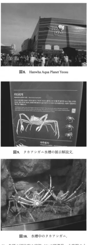 図 7. 韓国 ・麗水万博会場一部. この標本のラベルには Giant Spider crab molt と書い てあったので，脱皮時期は不明であったが， この水 族館で脱皮したタカアシガニの脱皮殻であることが 推損 l ドされる