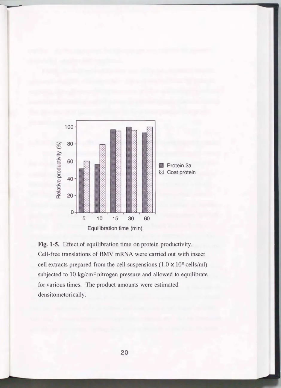 Fig.  1-5.  Effect of  equilibration  time  on protein  productivity. 