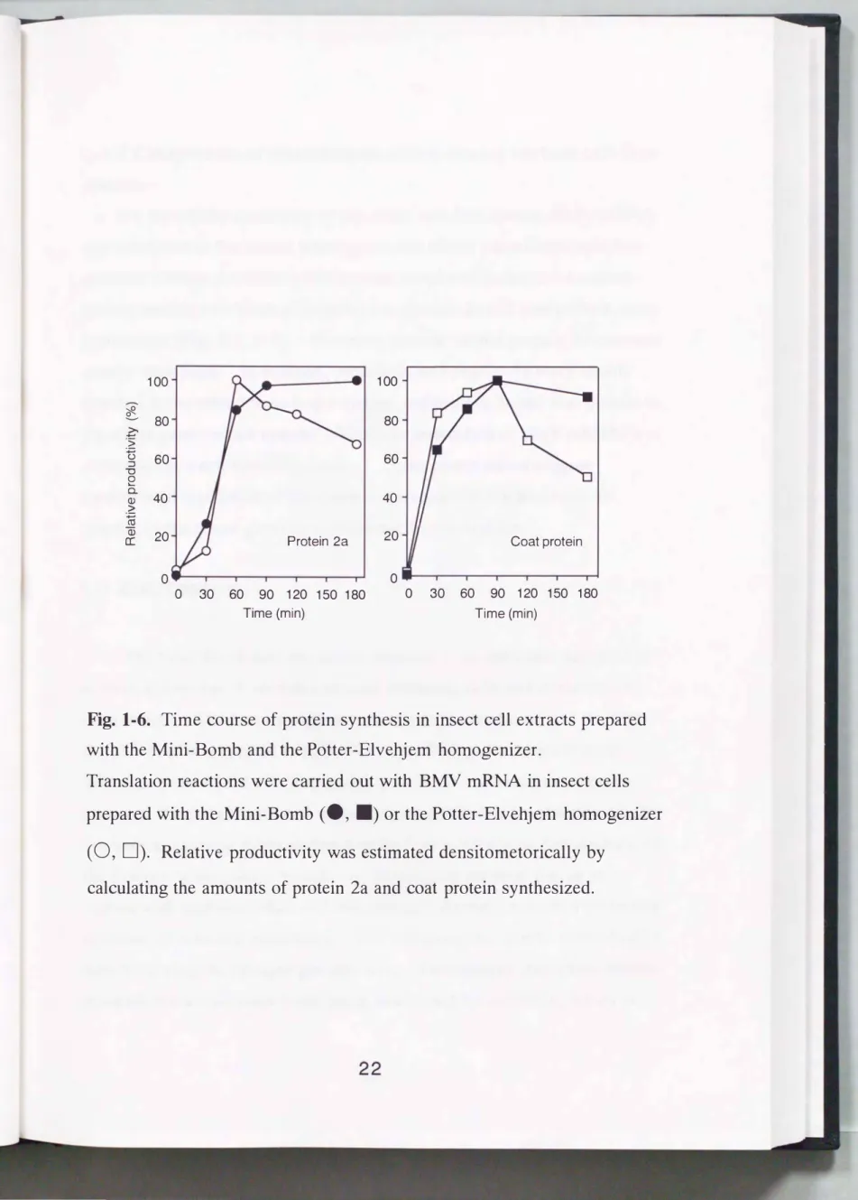 Fig.  1-6.  Time  course  of protein  synthesis  in  insect  cell  extracts  prepared  with the Mini-Bomb  and  the Potter-Elvehjem  homogenizer