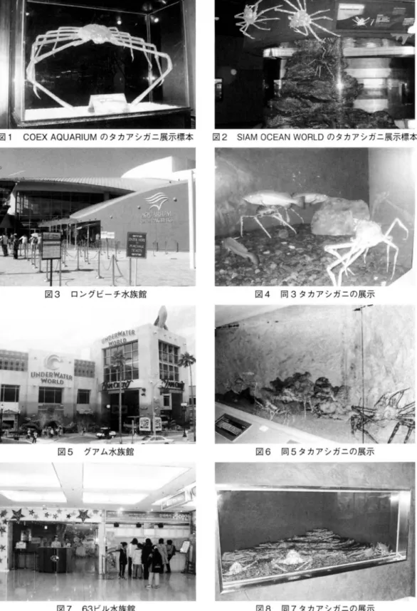 図 5 グアム水族館 図 6 同 5 タカアシガニの展示