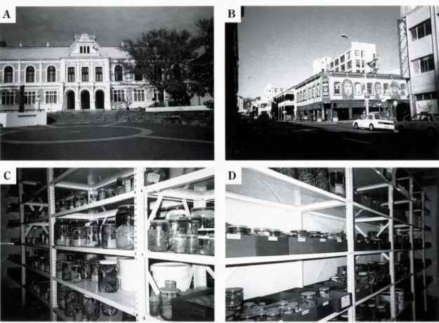 図 A. 南アフリカ博物館 (South African Museum) の正面玄関 B. ケープタウン (Cape Town) の町並み C 甲殻類関係の収蔵庫のようす D 甲殻類関係の収蔵庫のよ うす とも 2002 年 か ら 日 本 の 外 務 省 も ， 南 ア フ リ カ の ケープタウンとヨハネスブルグに「治安悪化，危 険」の警告を出している