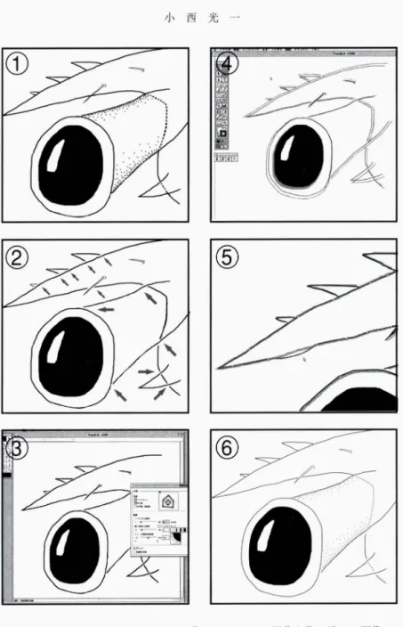 図 4 描画ソフトによる素描トレースのあらまし. ① スキ ャナーで画像 を取り込み司函像ソフト (ここでは