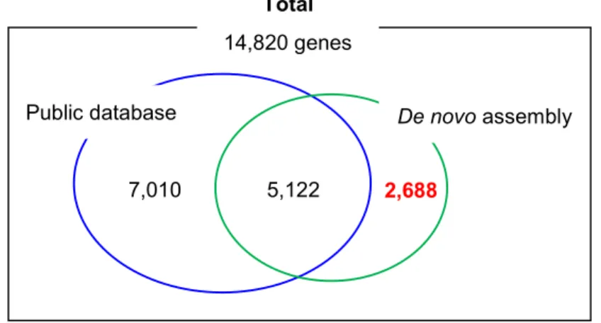図   5-3. NCBI genome database    と De novo  transcriptome assembly  の統合に よる新規参照配列の構築