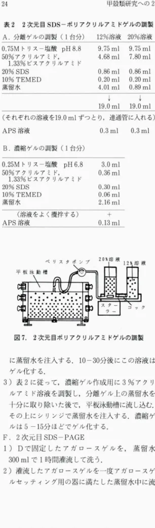 表 2 2 次元自 S D Sーポリアクリルアミドゲルの調製 A. 分離ゲルの調製( 1 台分) 12% 溶液 2 0 %溶液 0.75M 卜リス 一塩酸 p H 8.8  9.75 m l   9.75ml  5 0 % アクリルアミド， 4.68 m l   7.80ml  1